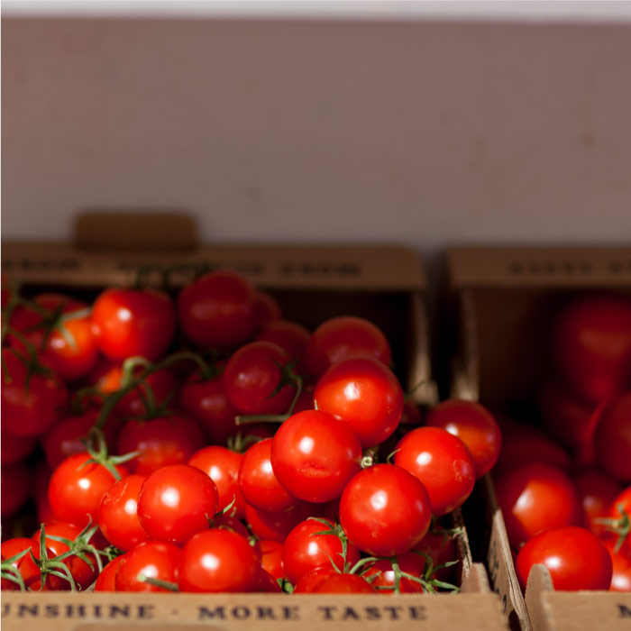 700×700-Tomatoes